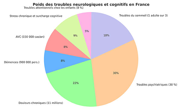Poids des troubles neurologiques et cognitifs en France