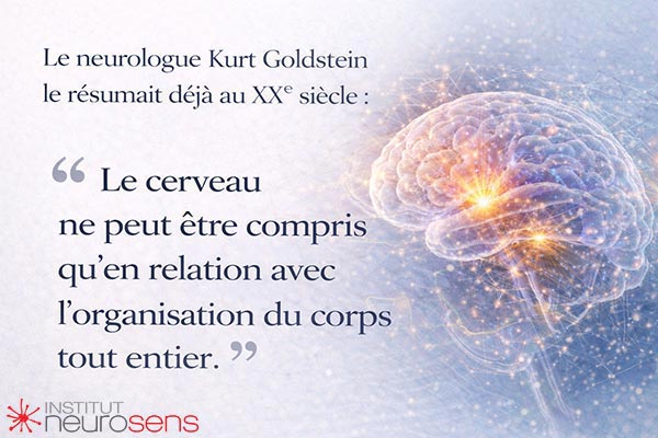 "Le cerveau ne peut être compris qu'en relation avec l'organisation du corps tout entier."
