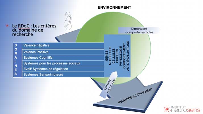 002  RDoC neurodéveloppement et envionnement