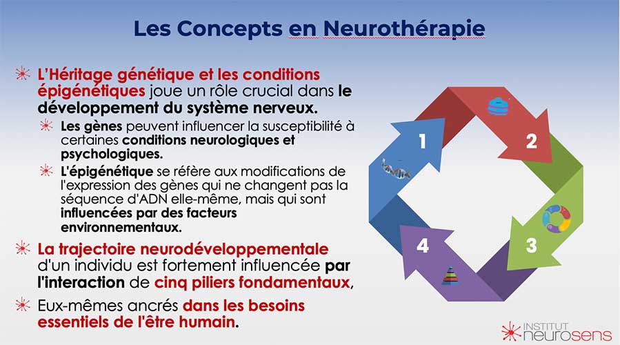 Les concepts en Neurothérapie
