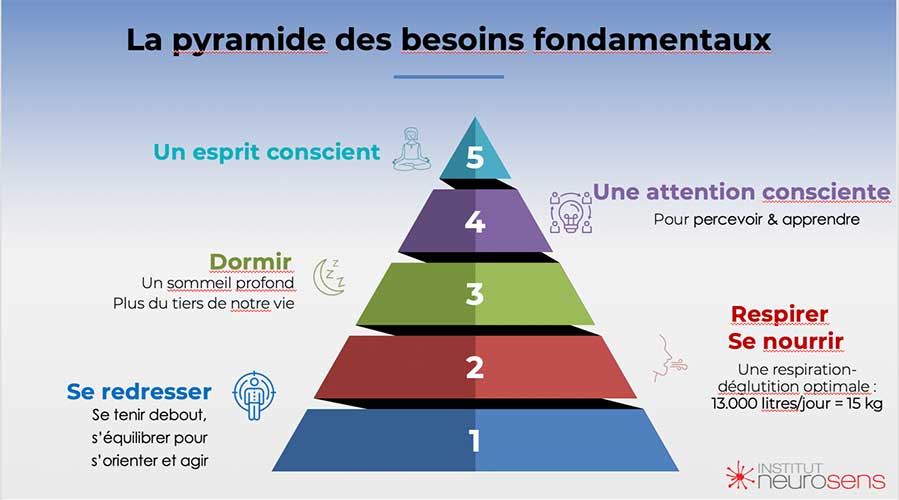 La pyramide des besoins fondamentaux