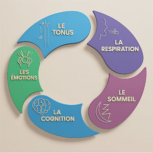 Vers une articulation nouvelle : les cing piliers comme systole et diastole du soin