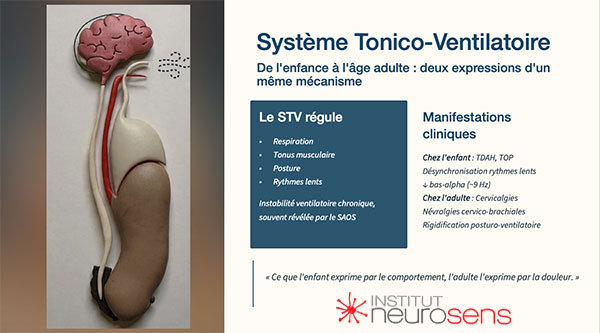 Système tonico-ventilatoire