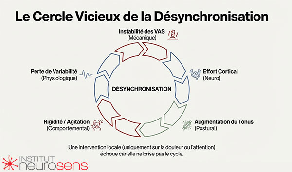Cercle vicieux de la désynchronisation