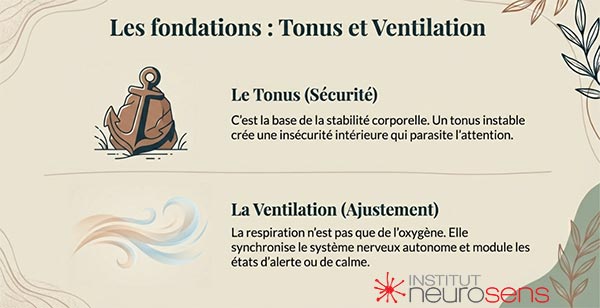 Les fondations : Tonus et ventilation