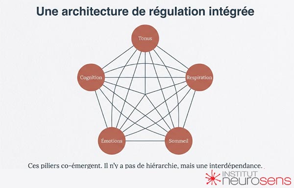 Une architecture de régulation intégrée