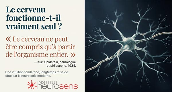 Le cerveau fonctionne-t-il vraiment seul ?