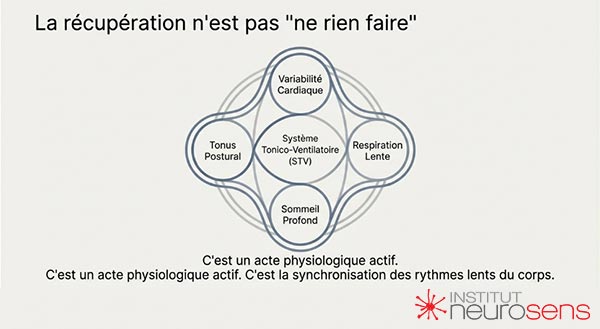 La récupération n'est pas « ne rien faire »