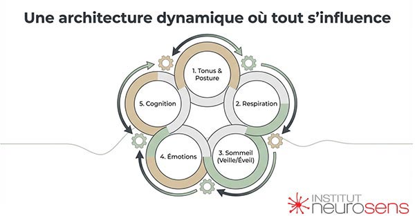 Une architecture dynamique où tout s'influence