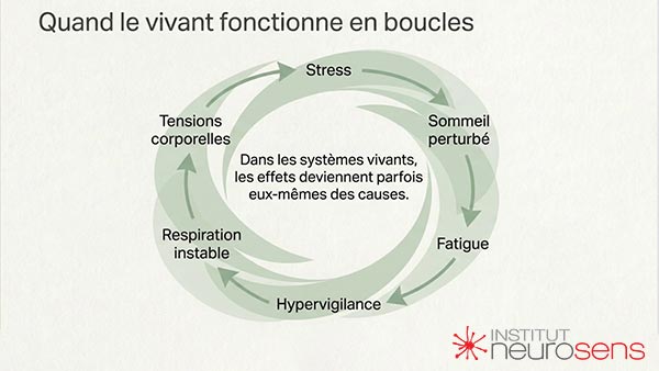 Tableau - Quand le vivant fonctionne en boucle