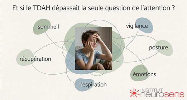 Graphique - Et si le TDAH dépassait la seule question de l'attention?