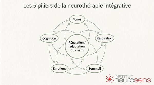 Graphique - Les 5 piliers de la neurothérapie intégrative
