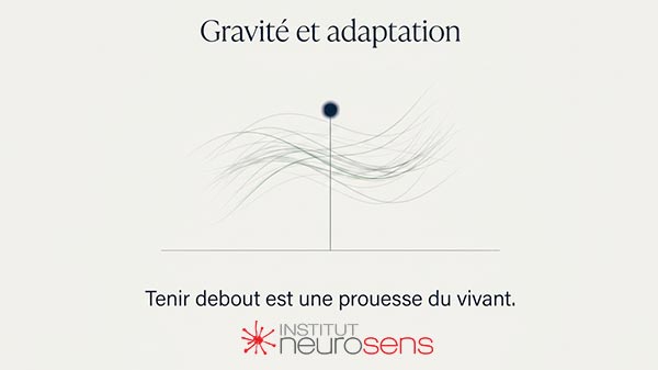 Gravité et adaptation