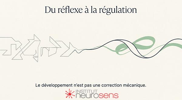 Du réflex à la régulation