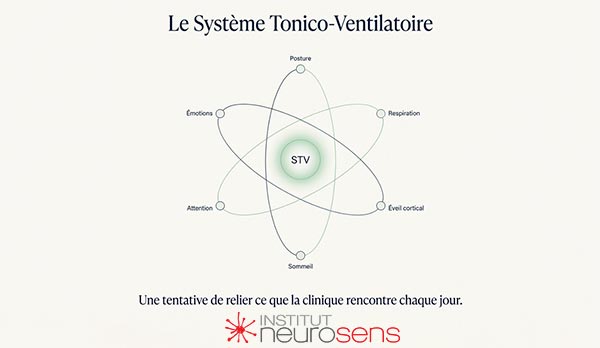 Se système Tonico-ventilatoire