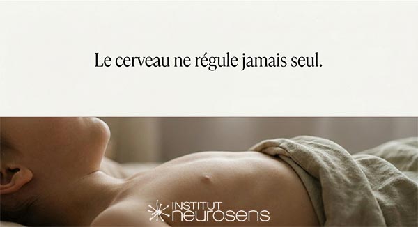 Le cerveau ne régule jamais seul.