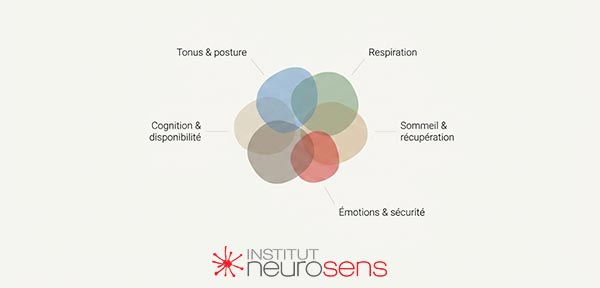 Graphique du système Tonico-Ventilatoire (STV)