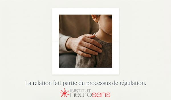 La relation fait partie du processus de régulation.