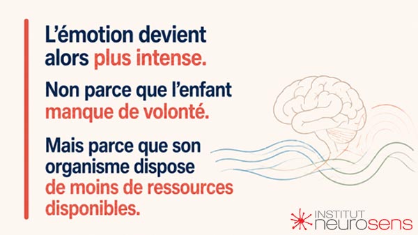 L'émotion devient alors plus intense. Non parce que l'enfant manque de volonté. Mais parce que son organisme dispose de moins de ressources disponibles.