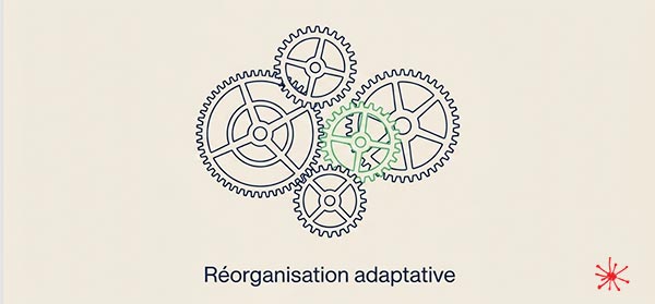 Réorganisation adaptative