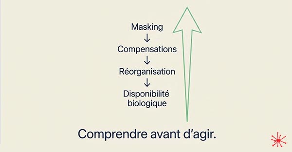 Comprendre avant d'agir