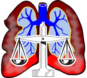 équilibre pulmonaire
