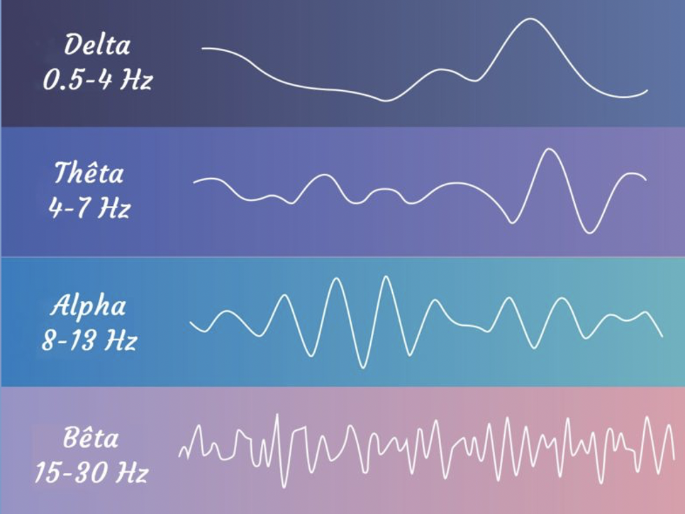 conscience de la rapidité des ondes cérébrales