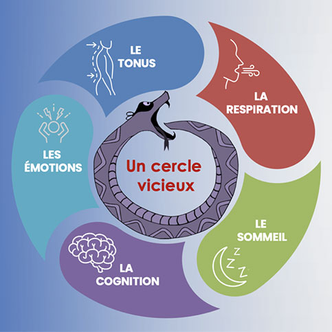 004 cercle vicieux