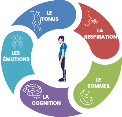 approche globale en neurothérapie : Biofeedback et Neuofeedback