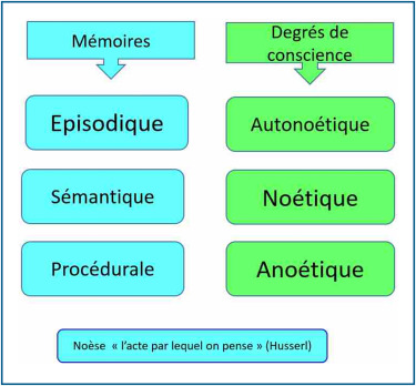 Mémoire et conscience