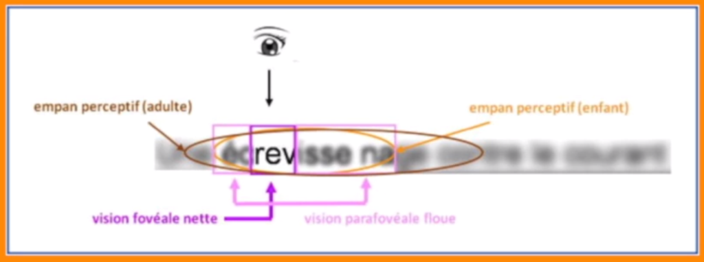 002 troubles visuels et perception des mots