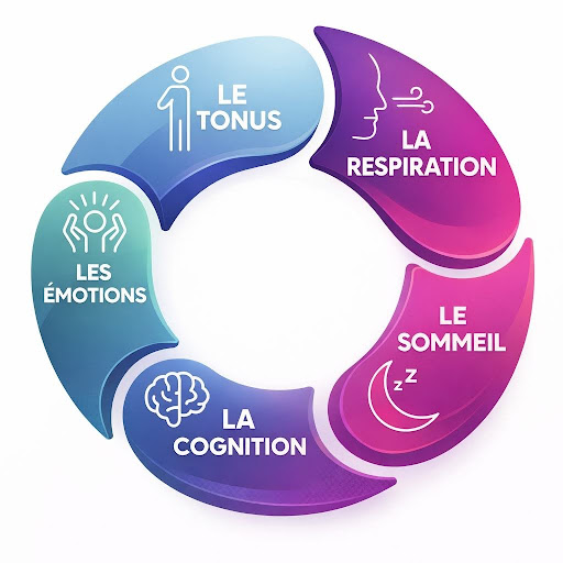 TDAH traitement sans médicament
