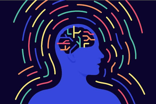 Régulation du système nerveux